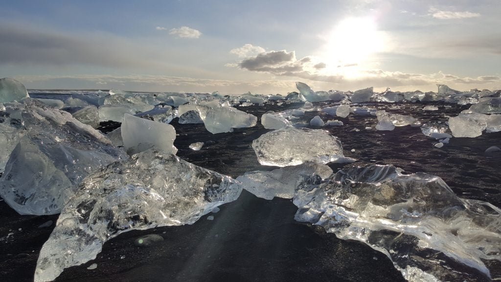 20160130_131336_24666990681_o